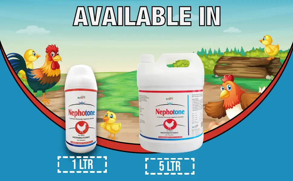 Poultry nephrocare supplement
