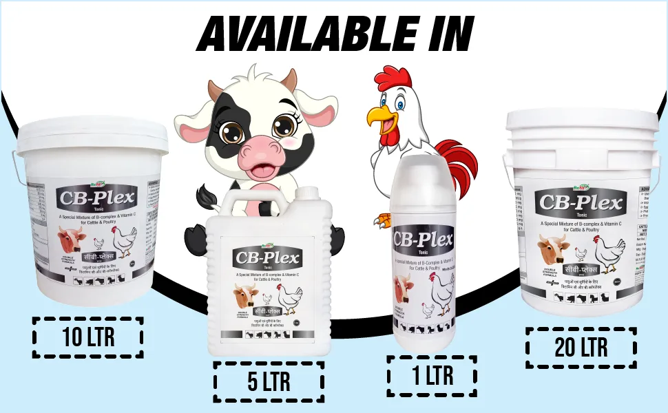 b complex for animals