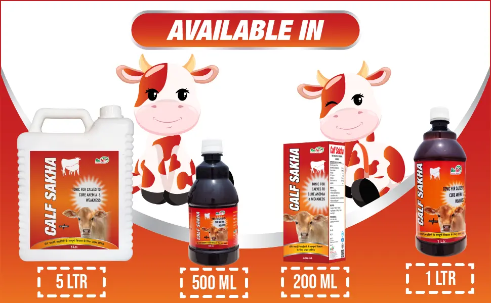 cattle feed supplement