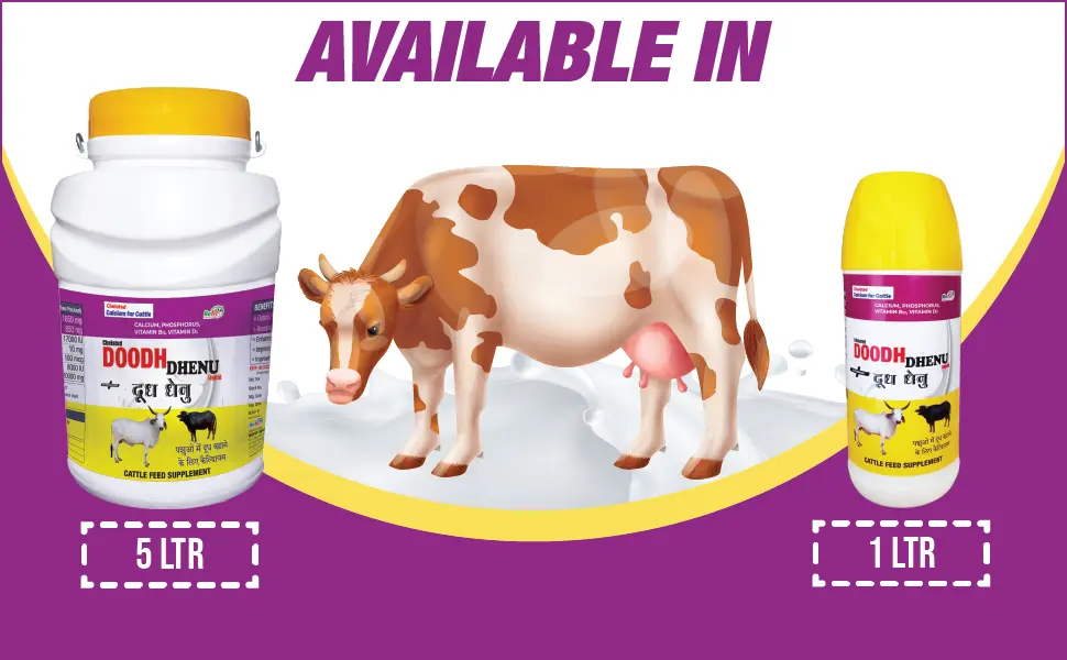 dairy calcium booster