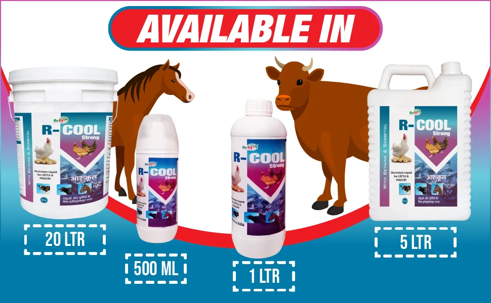 electrolyte supplement for poultry