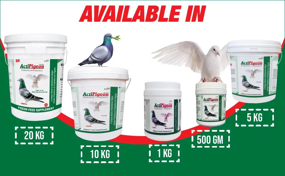 pigeon feed supplement