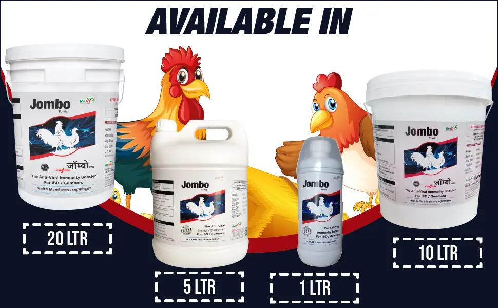 poultry feed supplements