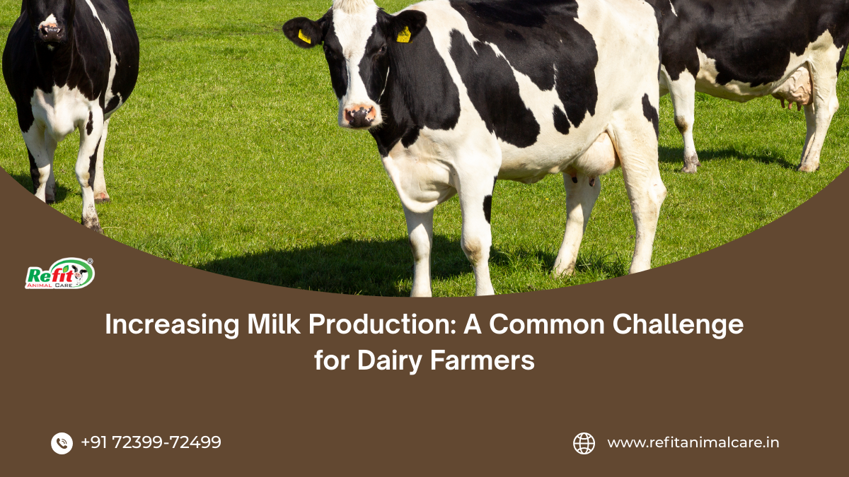 Increase Milk Production in Cattle