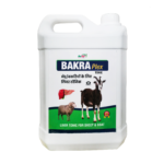 Bakra Plex 5Ltr 1.png