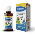 Bird Boost B.webp