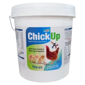 Chickup 10 Ltr.webp