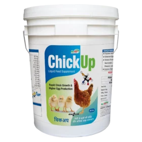 Chickup 20 Ltr.webp