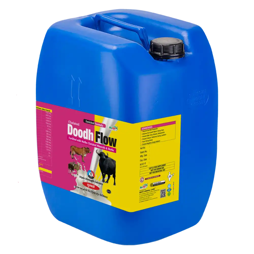 Doodh Flow 40 Ltr.webp