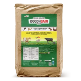 Doodh Gain 25 Kg Bag.webp