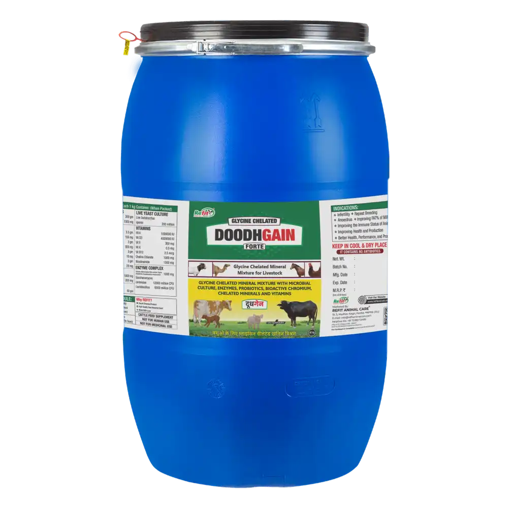 Doodh Gain 40 Kg.webp