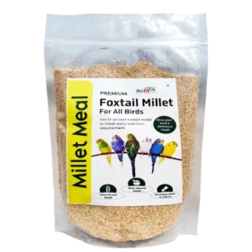 Foxtail Millet Bird Food.webp