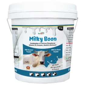 Milkyboon New 10 Kg.webp