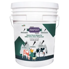 Minfeed 20 Kg.webp