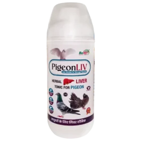 PigeonLiv 1 Ltr.webp