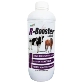R Booster Energy Milk Booster For Cattle 1 Ltr.webp