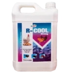 R Cool Liquid Elctrolyte Supplement 5 ltr.webp