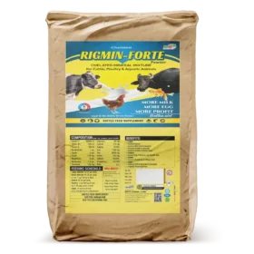 Rigmin Forte 25 Kg Bag.webp
