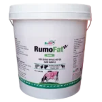 Rumofat Bypass Fat Supplement For Cow Buffalo 10 kg.webp