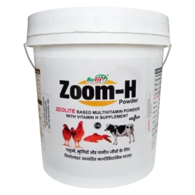 Zoom H 5 Kg.webp