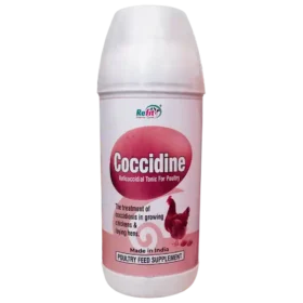 best medicine for coccidiosis 1536x1536 1.webp