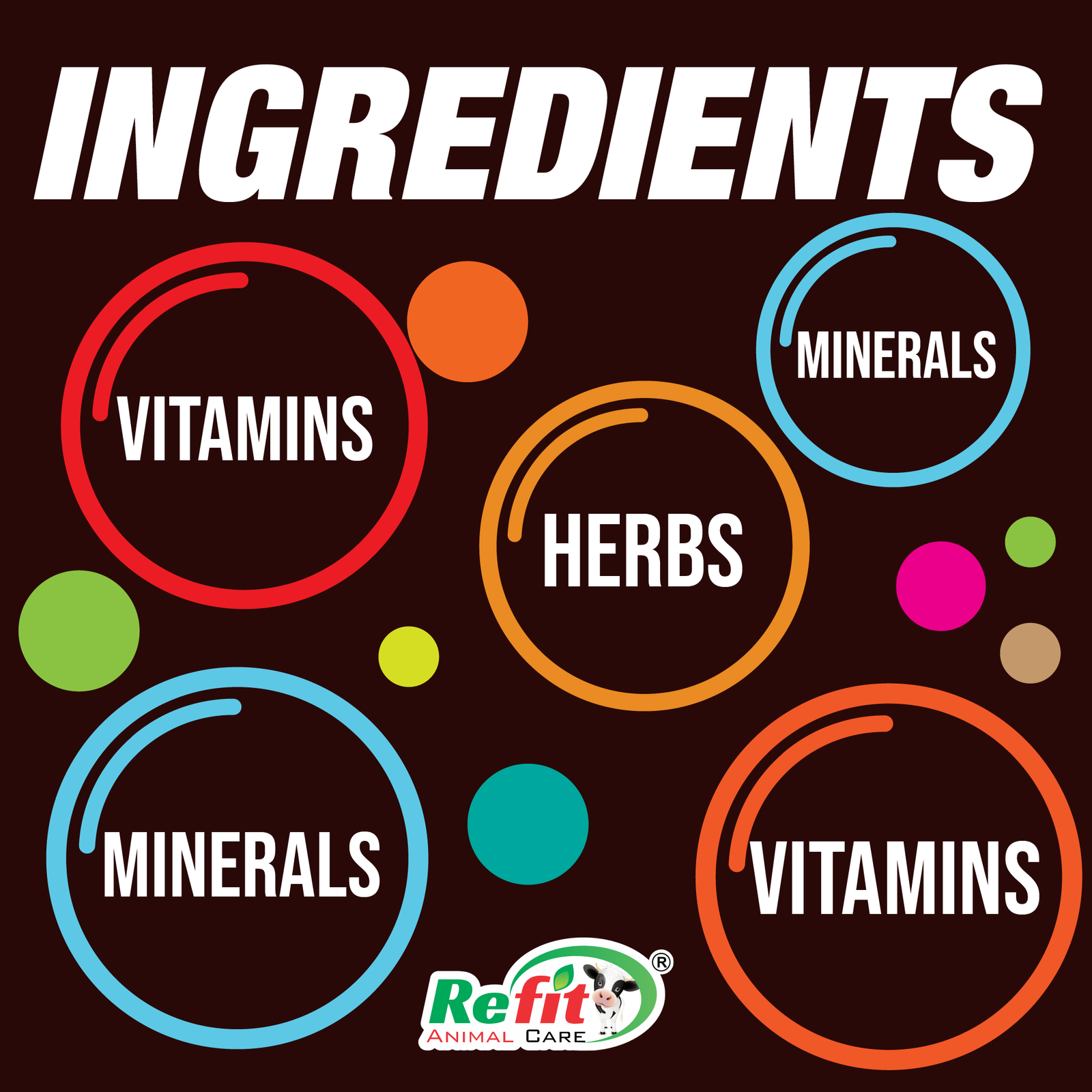 bloat go ingredients.png