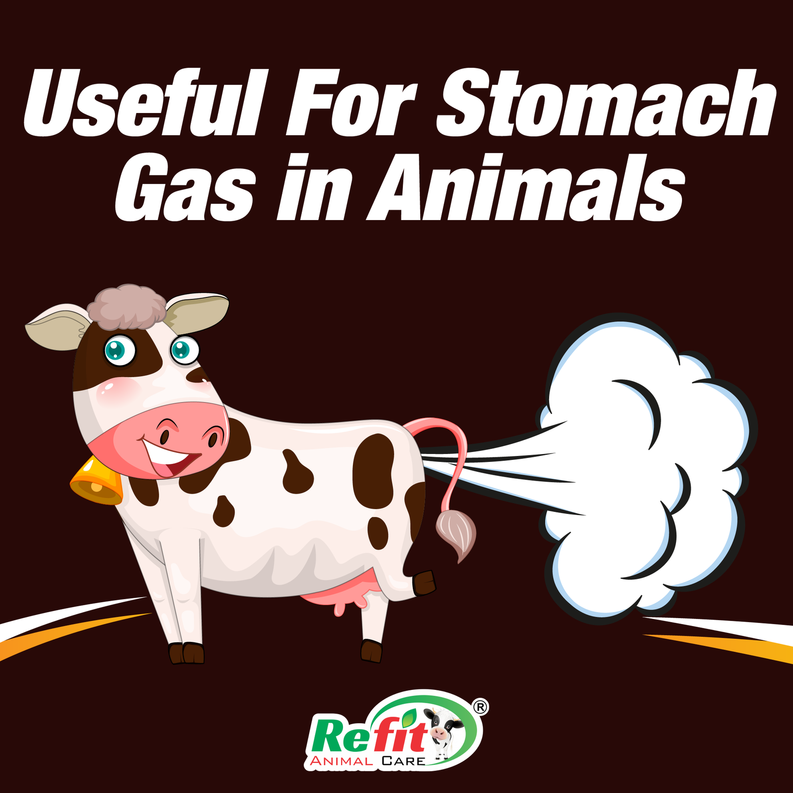 bloat go why choose.png