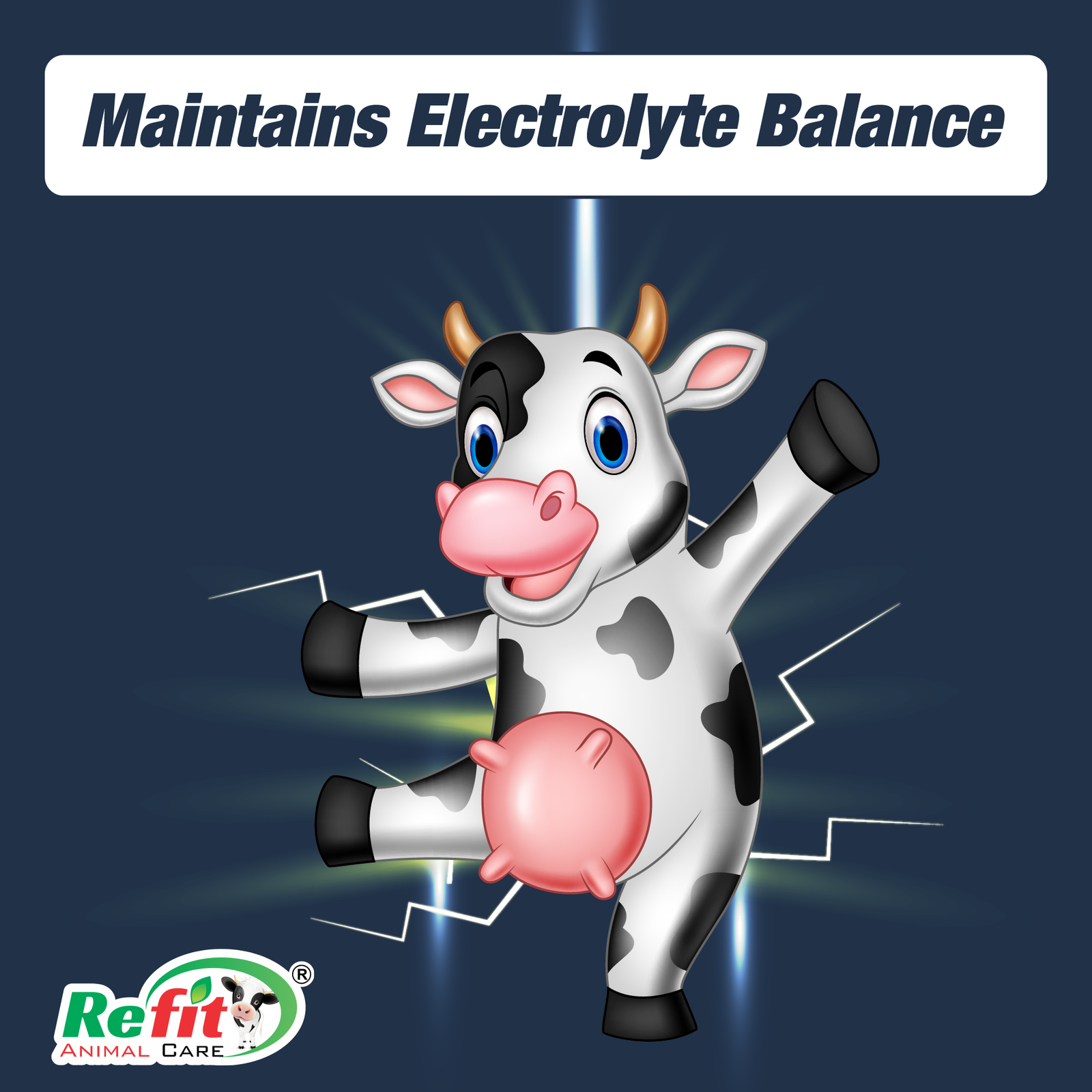 c charge why choose.png