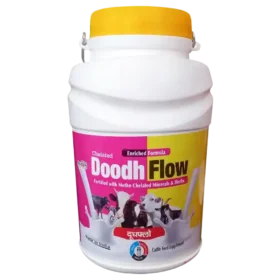 calcium supplements for dairy cows 1536x1536 1.webp