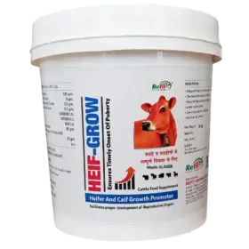 calf growth promoter.webp