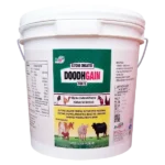 chelated mineral mixture 1536x1536 1.webp