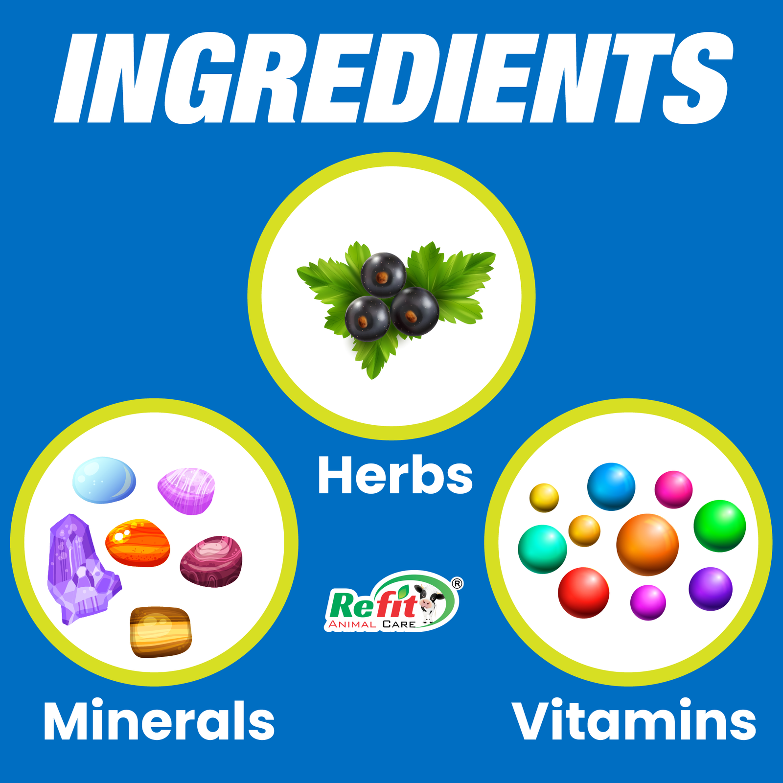 chick up ingredients.png