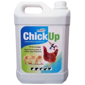 chicks growth promoter 1536x1536 1.webp