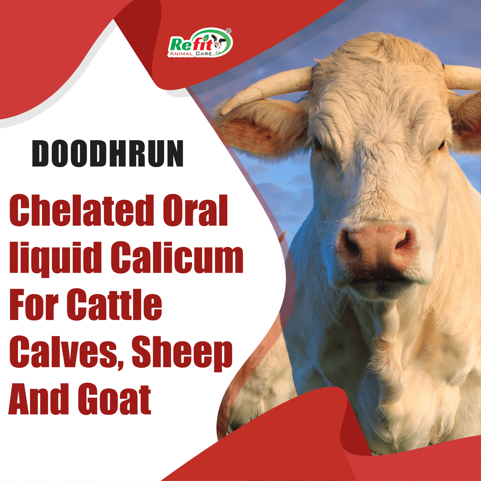 doodhrun whychoose scaled 1.png