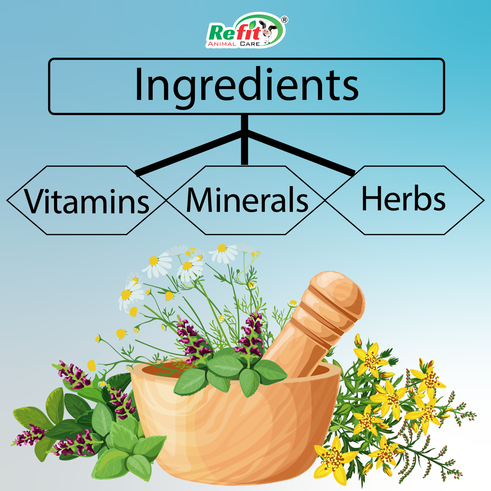 immuno xl ingredients.png