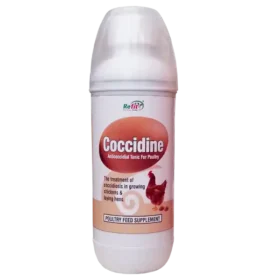 medicine for coccidiosis in poultry 1536x1536 1.webp