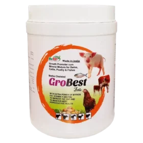 metho chelated minerals 1536x1536 1.webp