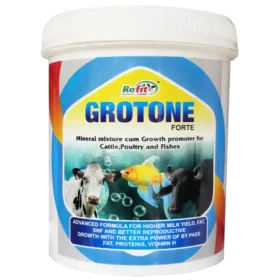 mineral mixture for cow.webp