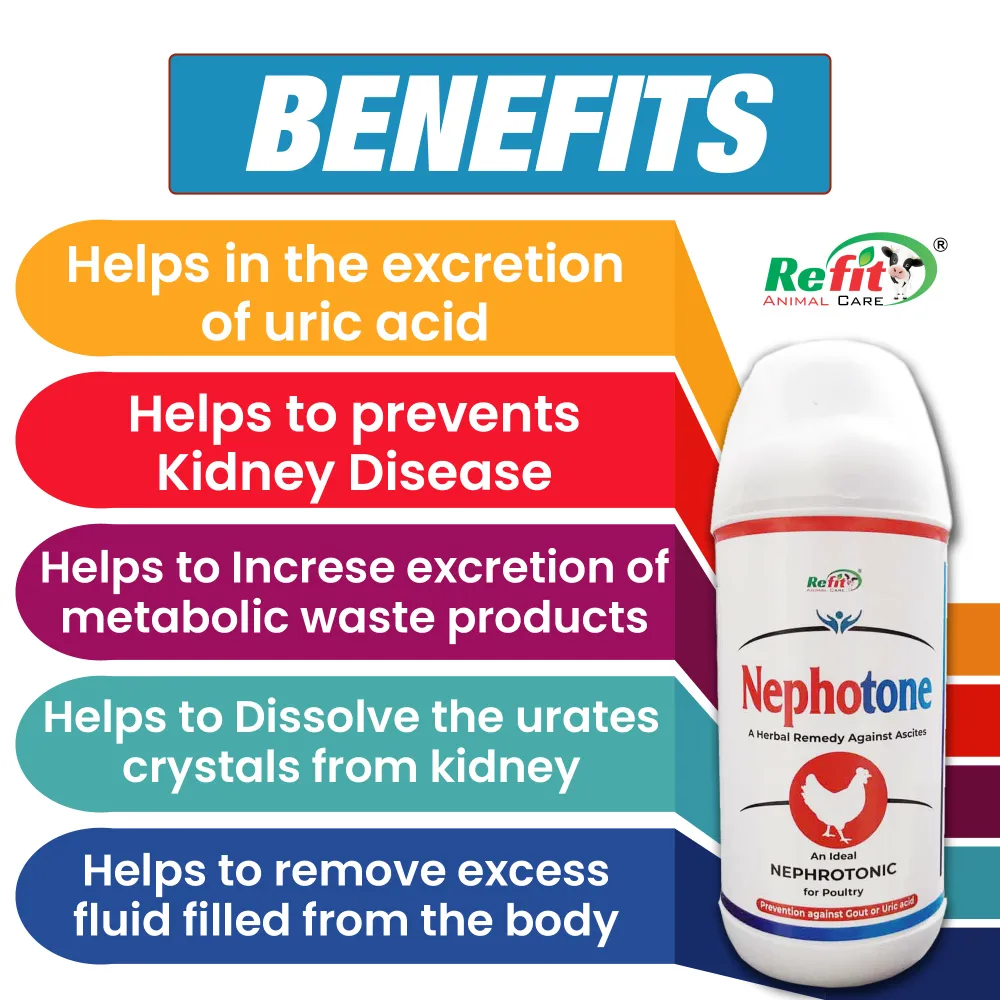 nephotone benefits.webp