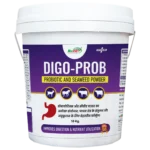 probiotic and seaweed powder for livestock 1.webp