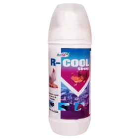 r cool e1649242546446.webp