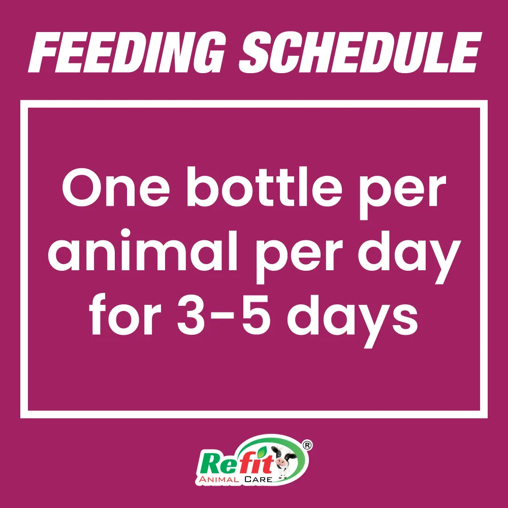 recap pep feeding.webp