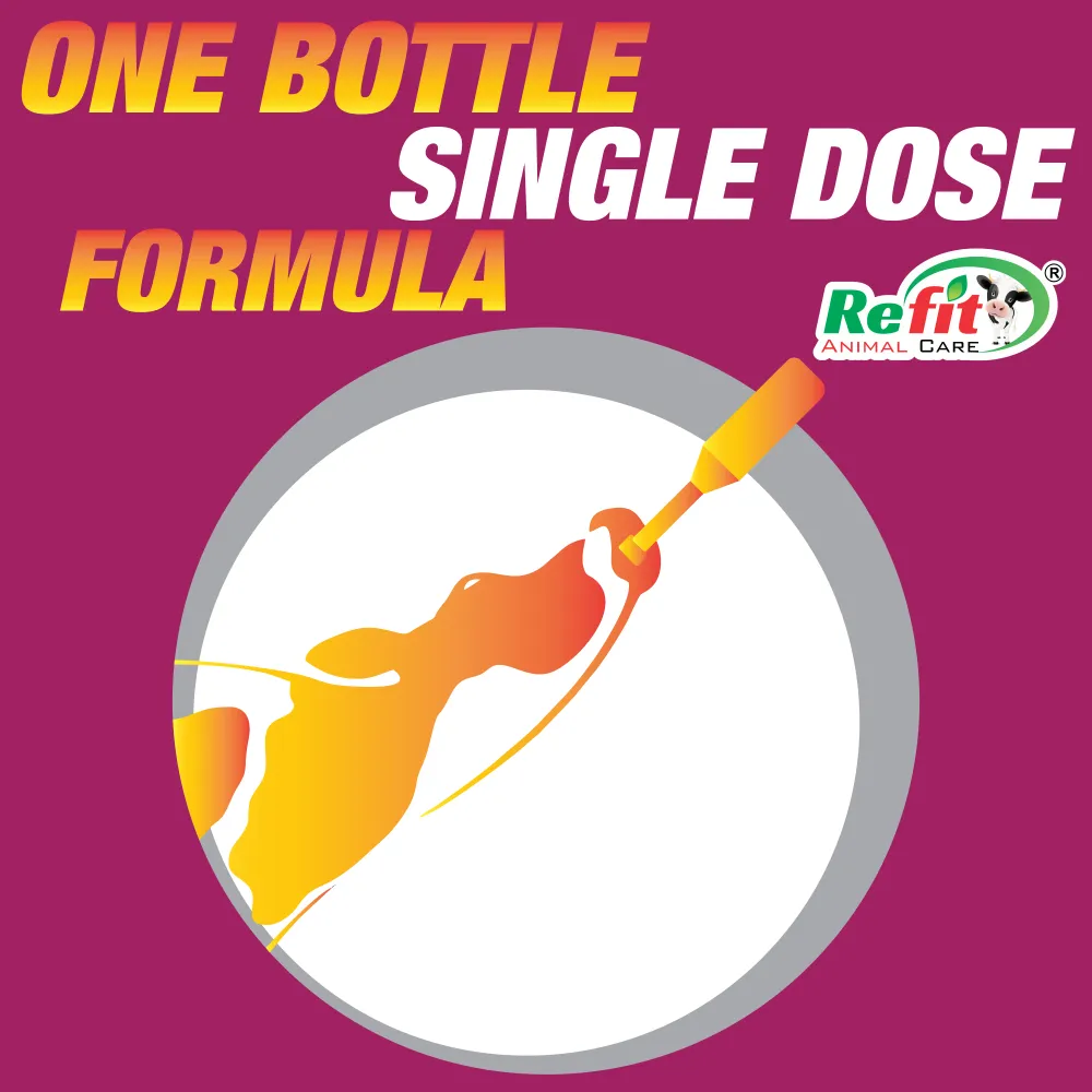 recap pep whychoose.webp