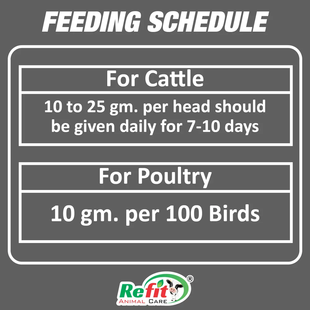 se care feeding.webp