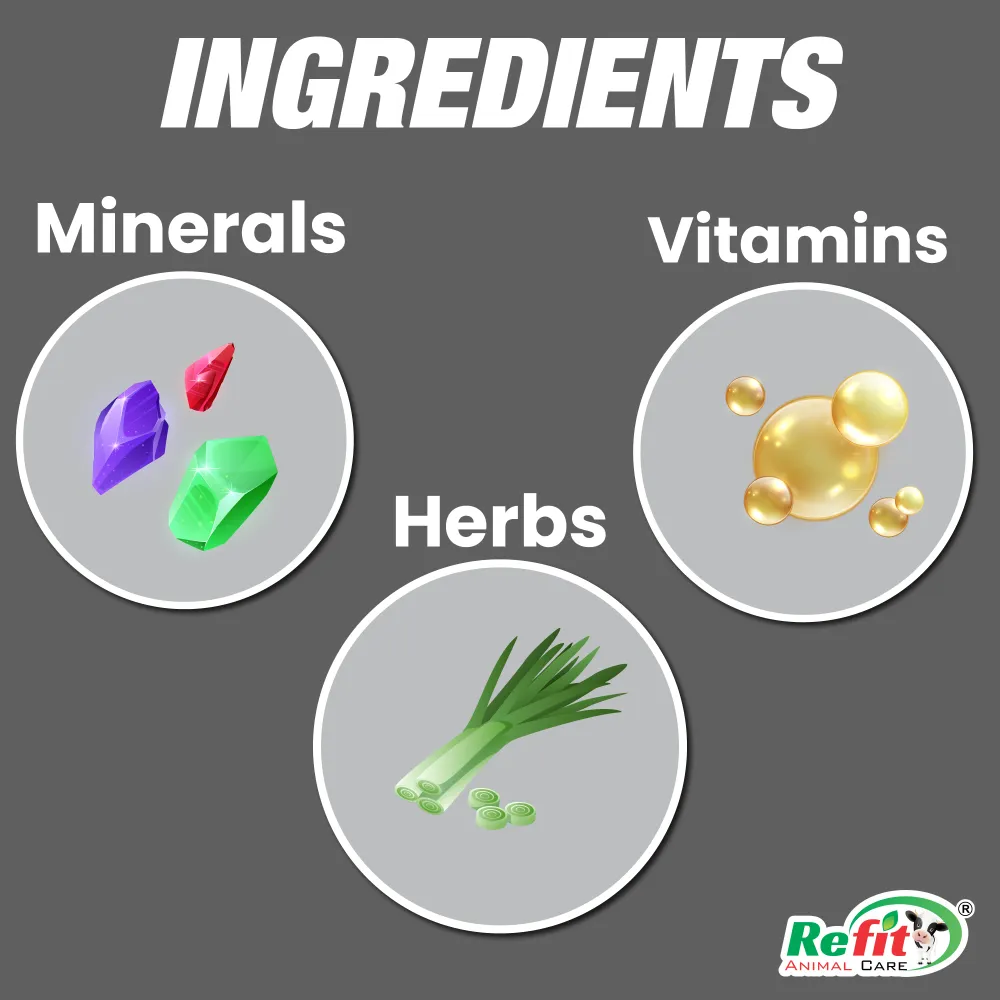 se care ingredients.webp