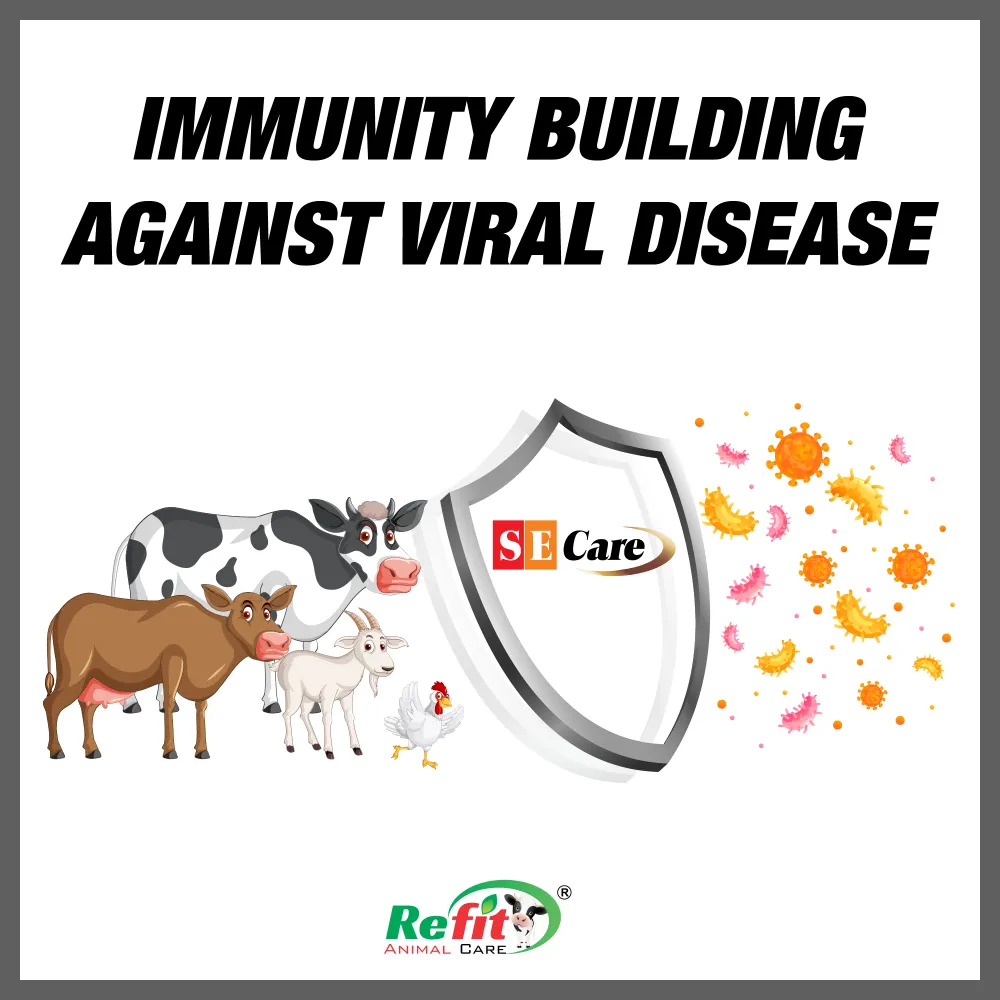 se care whychoose.webp