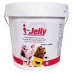 sharkoferrol for animals 1536x1536 1.webp