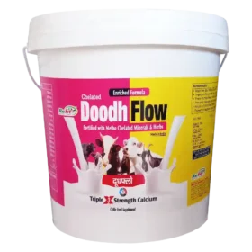 triple strength calcium for cow and buffalo.webp