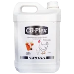 vitamin b complex for poultry 1536x1536 1.webp