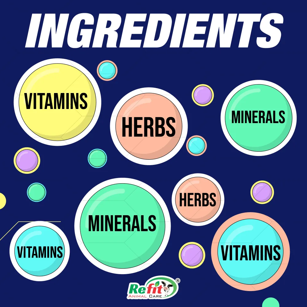 wetup ingredients.webp